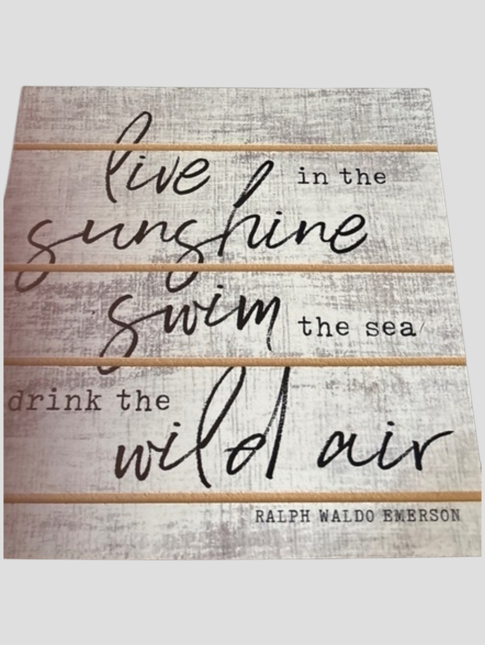Wild air live in sunshine swim in the sea drink the wild air plaque Emerson